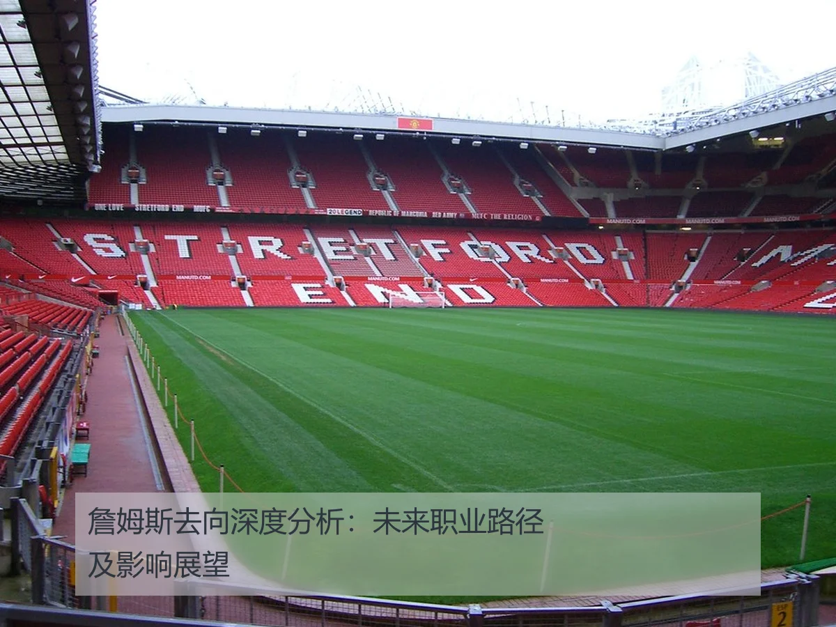 詹姆斯去向深度分析:未来职业路径及影响展望