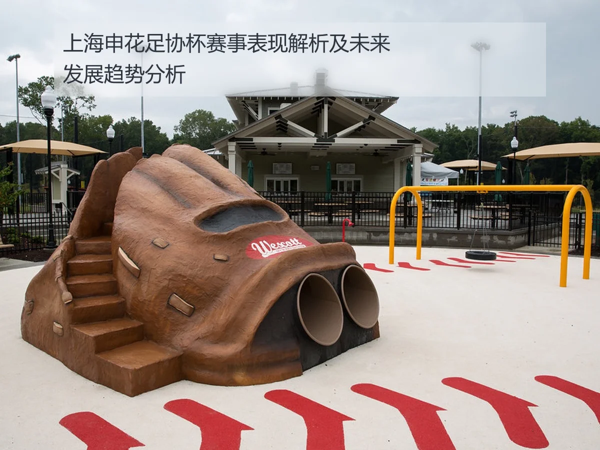 上海申花足协杯赛事表现解析及未来发展趋势分析